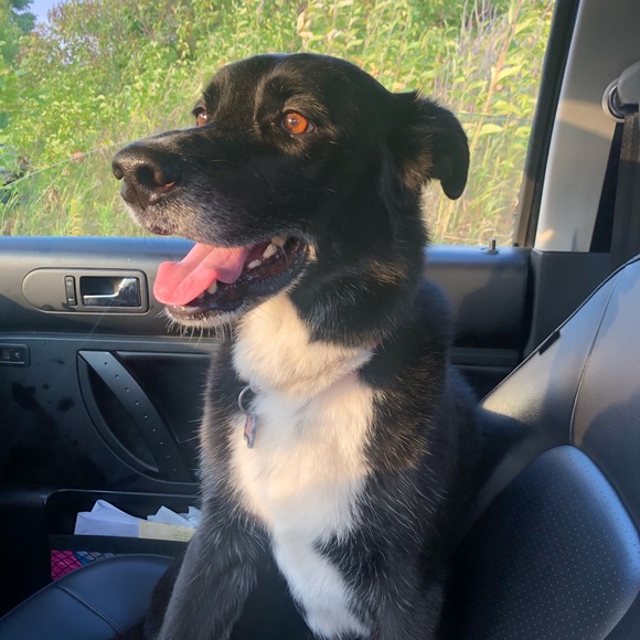 DEALS!!! /MAKE ME AN OFFER - Picture 1 of 1